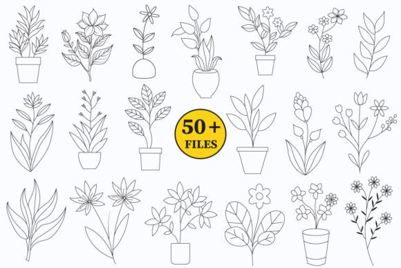 Flower and House Plants Lineart Graphic