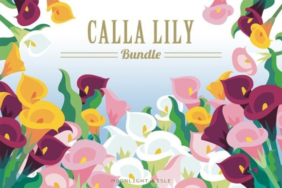 Funky Floral Modern Calla Lily Bundle